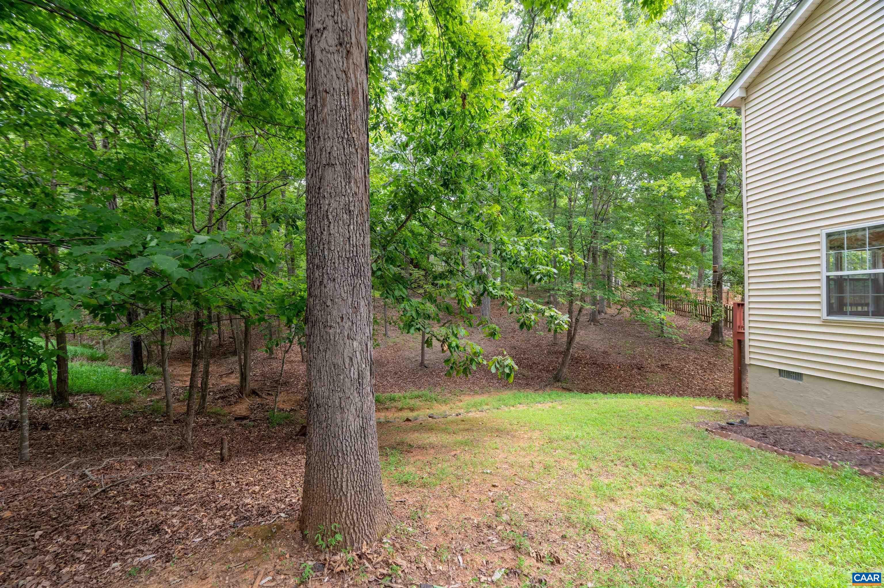 24 Xebec Road Palmyra, VA 22963 - Photo 38 of 41 a view of a backyard with large trees and plants