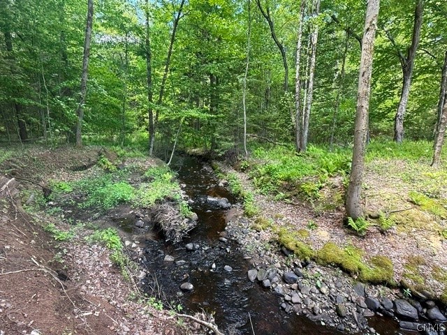 1055 Albion Cross Road Pulaski, NY 13142 - Photo 6 of 6