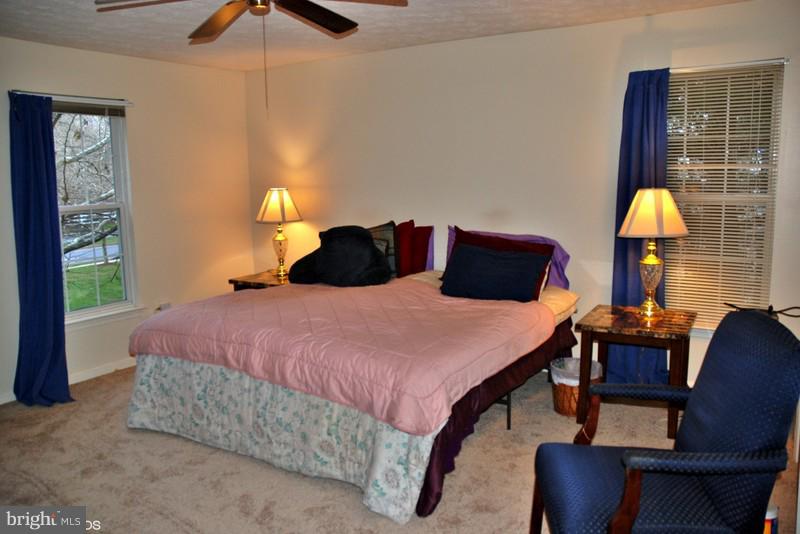 4868 Shellbark Road Owings Mills, MD 21117 - Photo 14 of 23 a bedroom with a bed a lamp and a chandelier