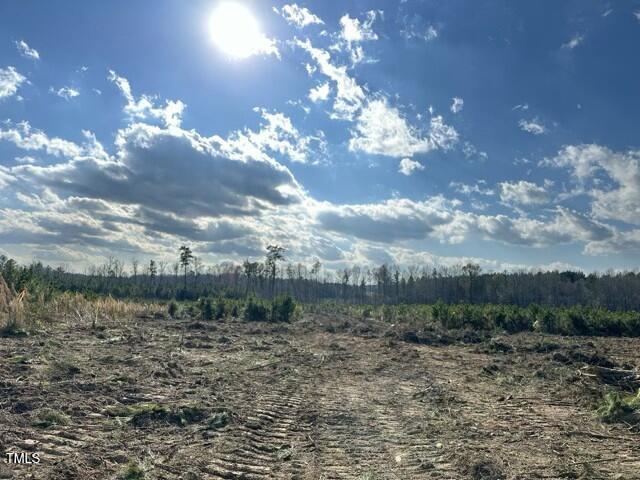 Lot 25 River Meadow Trail Spring Spring Hope, NC 27882 - Photo 2 of 12 tempImagegPbsAC