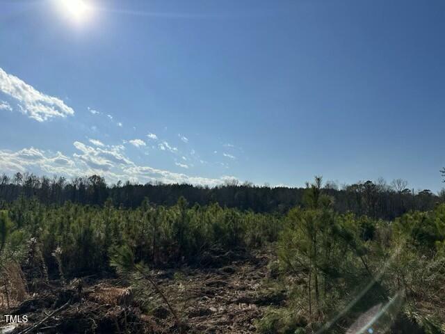 Lot 25 River Meadow Trail Spring Spring Hope, NC 27882 - Photo 3 of 12 tempImage7RvM2G