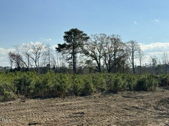 Lot 25 River Meadow Trail Spring Spring Hope, NC 27882 - Photo 6 of 12 tempImageOkPFqc