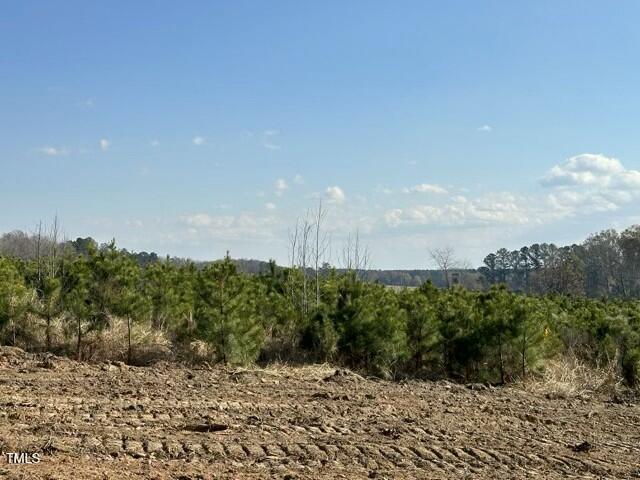 Lot 25 River Meadow Trail Spring Spring Hope, NC 27882 - Photo 8 of 12 tempImageK9IQbT