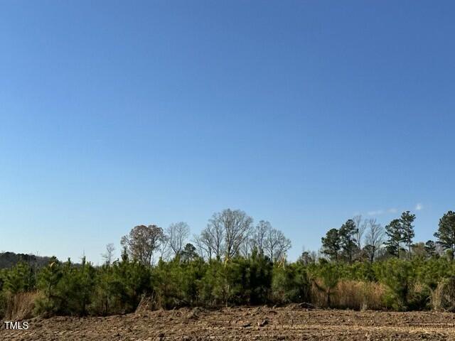Lot 25 River Meadow Trail Spring Spring Hope, NC 27882 - Photo 9 of 12 tempImageN4OdQ7