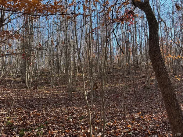 $14,000 | 0 Oakville Road, Gladstone, VA 24553