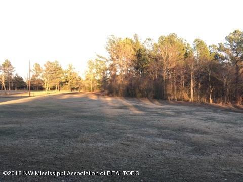 856 Cayce Road Byhalia, MS 38611 - Photo 6 of 19 IMG_7605