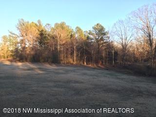 856 Cayce Road Byhalia, MS 38611 - Photo 7 of 19 IMG_7604