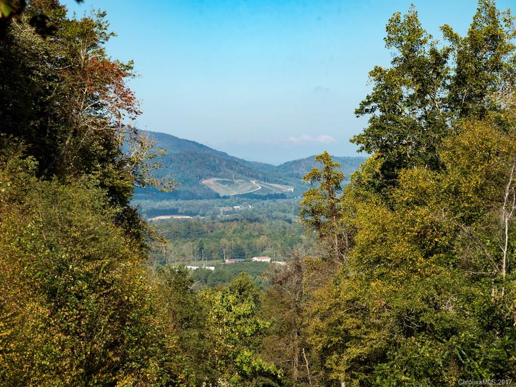 1908 Lamb Mountain Road Hendersonville, NC 28792 - Photo 15 of 24