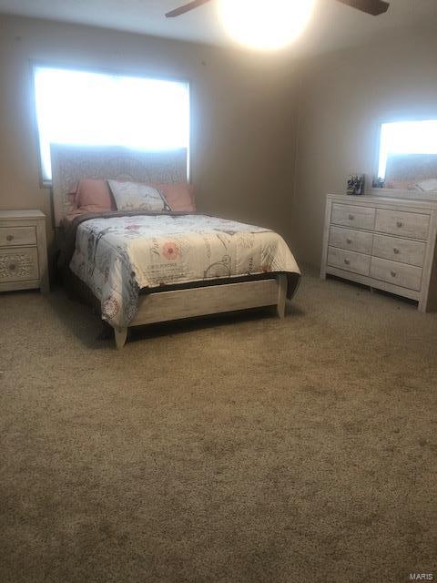 9854 Lessley Road Sparta, IL 62286 - Photo 14 of 29