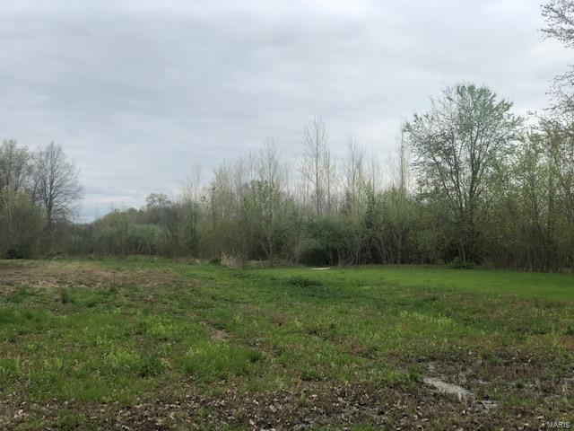 9854 Lessley Road Sparta, IL 62286 - Photo 7 of 29