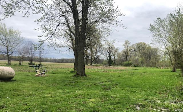 9854 Lessley Road Sparta, IL 62286 - Photo 8 of 29