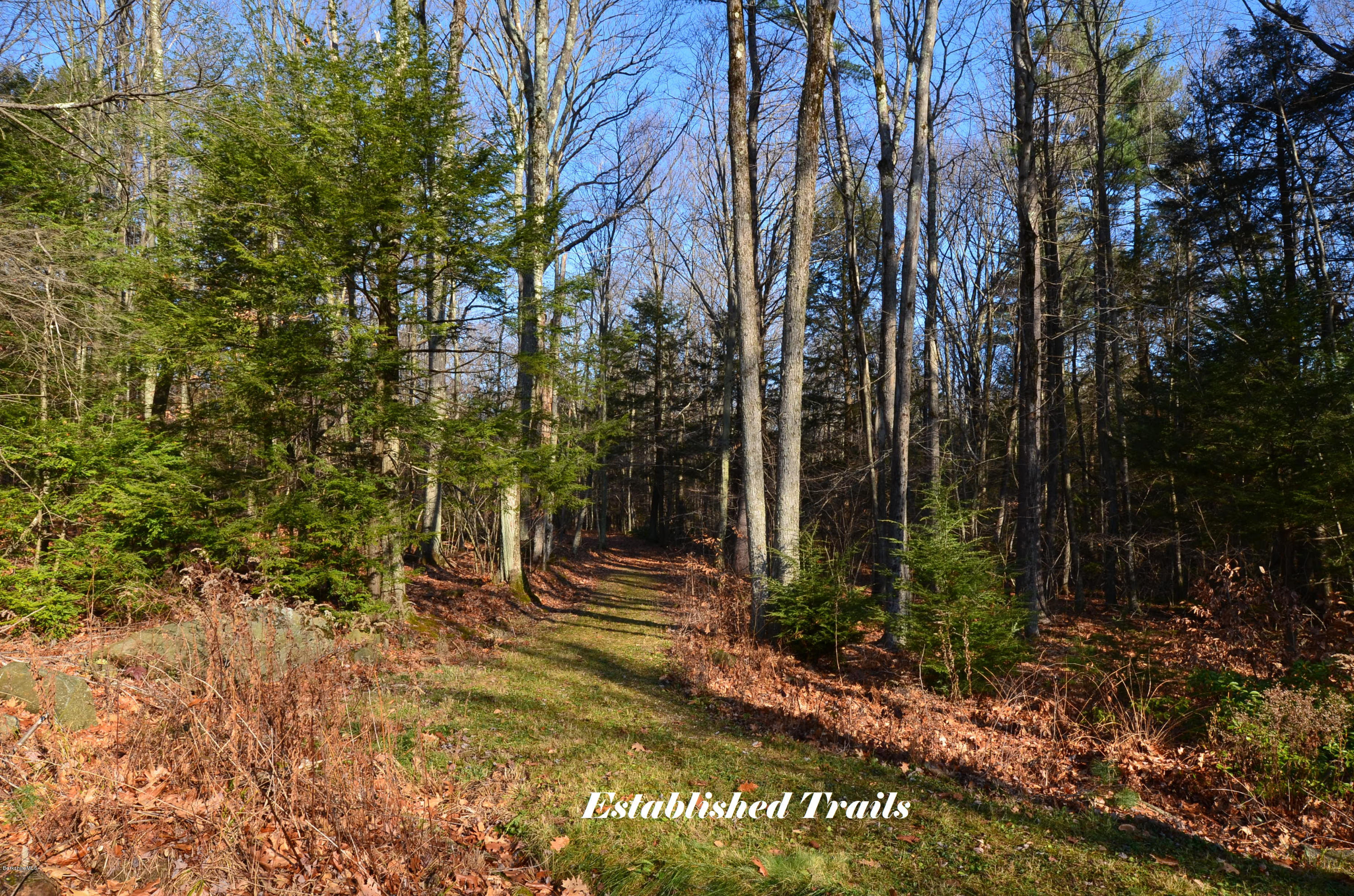 15 Crooks Road Blandford, MA 01008 - Photo 34 of 39 Start of Trail in Back Yard