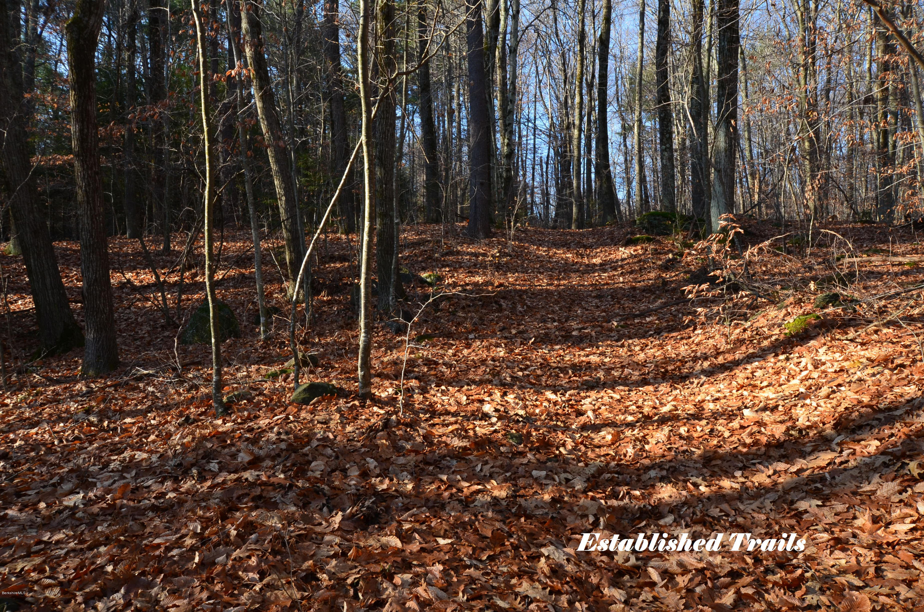 15 Crooks Road Blandford, MA 01008 - Photo 35 of 39 Trail to Blueberry Patch & Upper Meadow