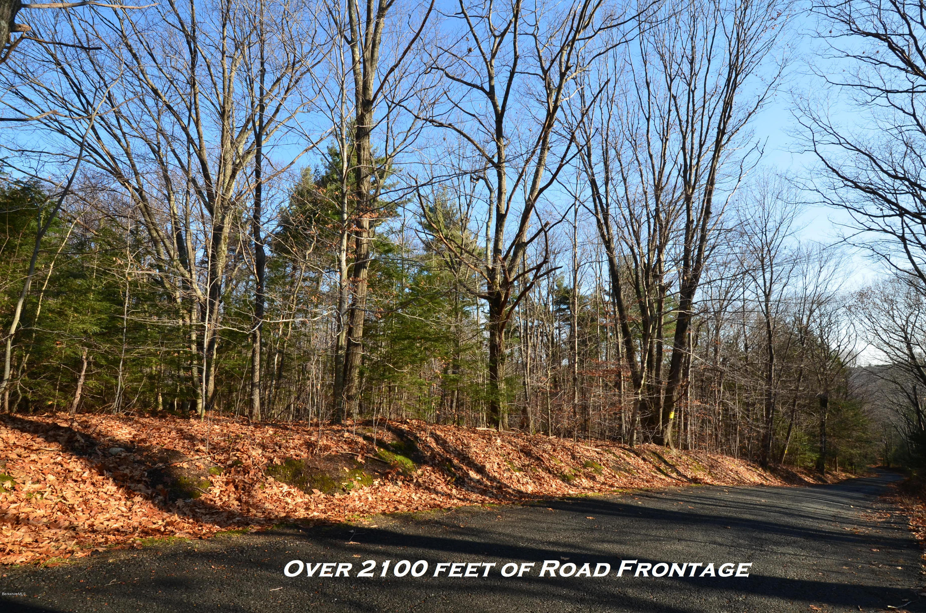 15 Crooks Road Blandford, MA 01008 - Photo 36 of 39 Road Frontage Pic
