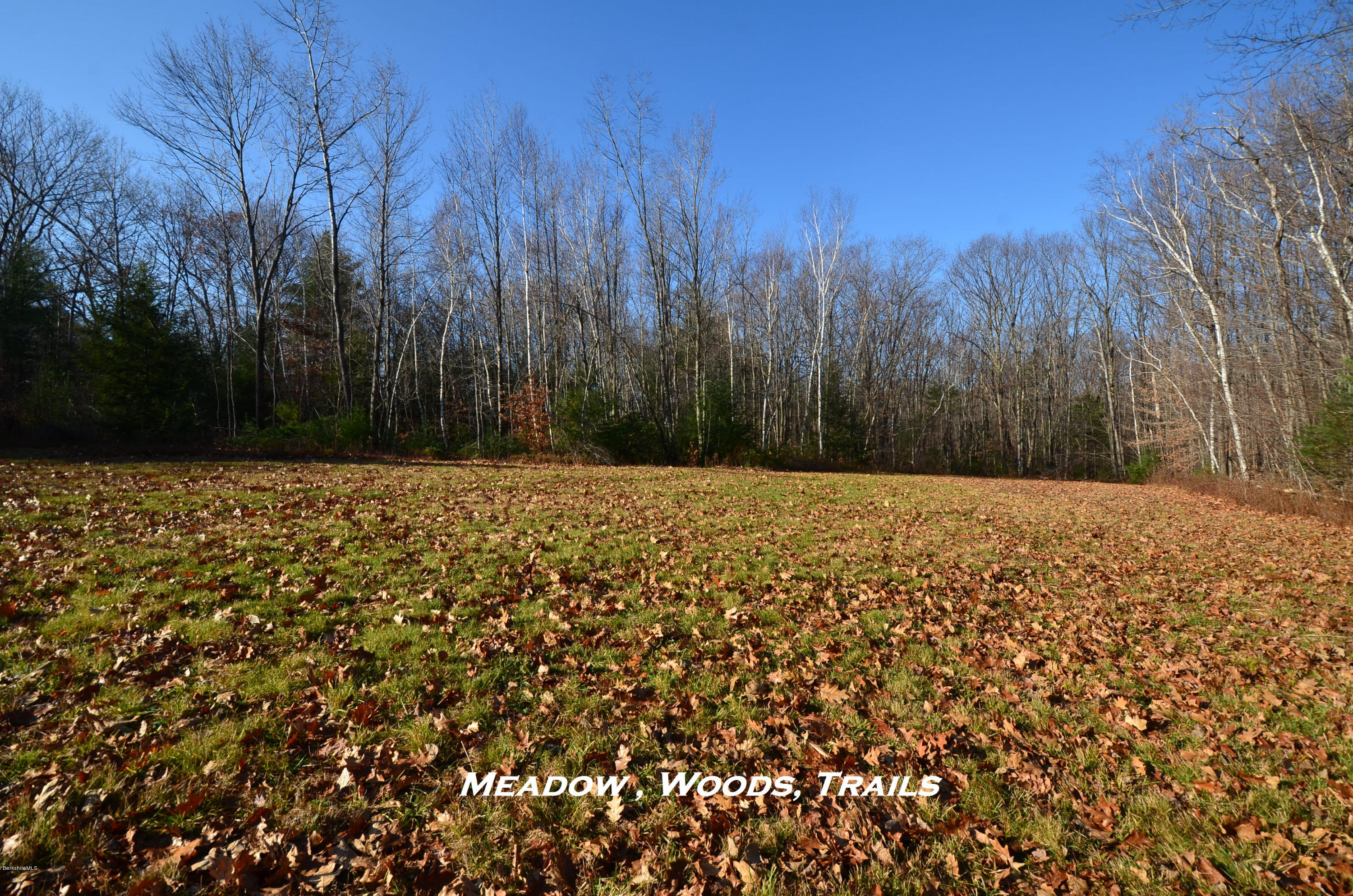 15 Crooks Road Blandford, MA 01008 - Photo 38 of 39 Upper Meadow