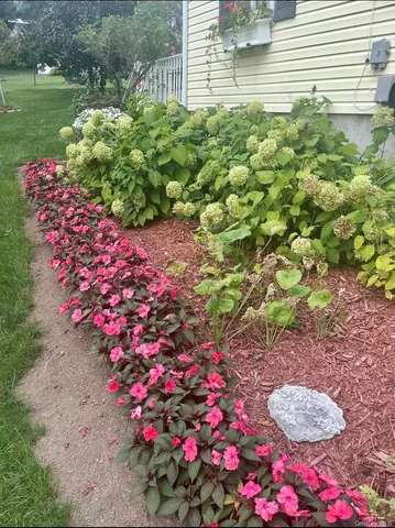 a view of a garden with plants and large trees