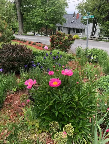 a small garden covered with tall buildings