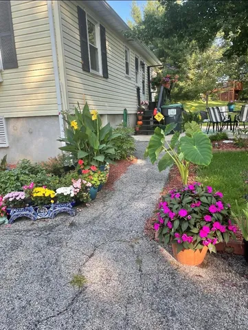 a view of a potted plant sitting in front of a house