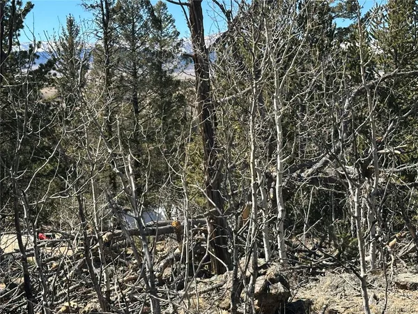 $85,000 | 505 North Quarter Horse Road, Jefferson, CO 80456