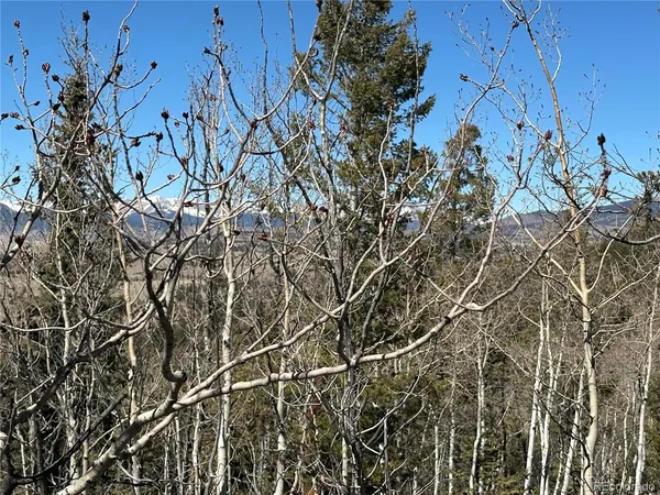 $85,000 | 505 North Quarter Horse Road, Jefferson, CO 80456
