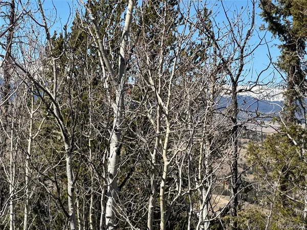 $85,000 | 505 North Quarter Horse Road, Jefferson, CO 80456