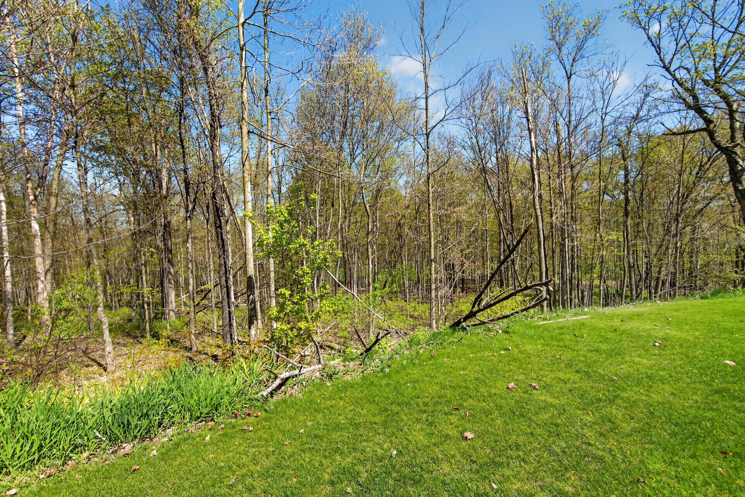 9355 St Kilian Heights Road Wayne, WI 53002 - Photo 45 of 61 DSC06770
