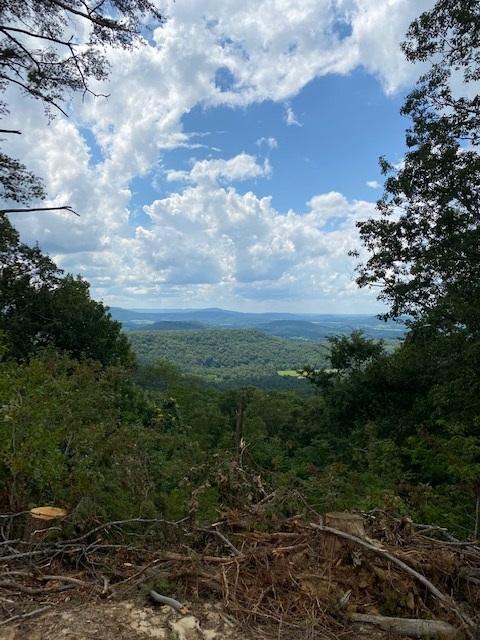 200 Beach Cove Road Doyle, TN 38559 - Photo 1 of 21 Beech10