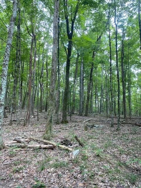 200 Beach Cove Road Doyle, TN 38559 - Photo 11 of 21 Beech7