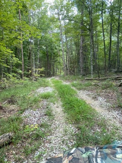 200 Beach Cove Road Doyle, TN 38559 - Photo 13 of 21 Beech9