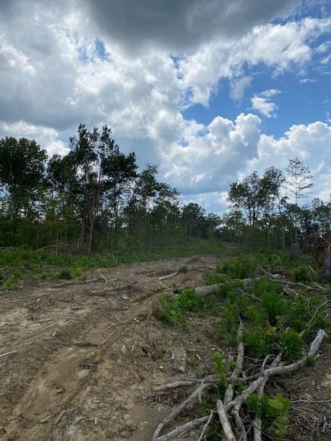 200 Beach Cove Road Doyle, TN 38559 - Photo 15 of 21 Beech13