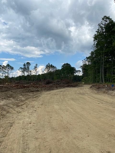 200 Beach Cove Road Doyle, TN 38559 - Photo 17 of 21 Beech15