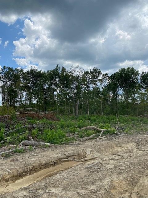 200 Beach Cove Road Doyle, TN 38559 - Photo 20 of 21 Beech19
