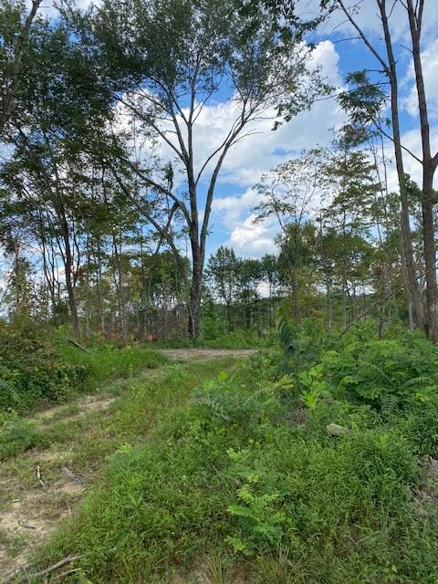 200 Beach Cove Road Doyle, TN 38559 - Photo 21 of 21 Beech20