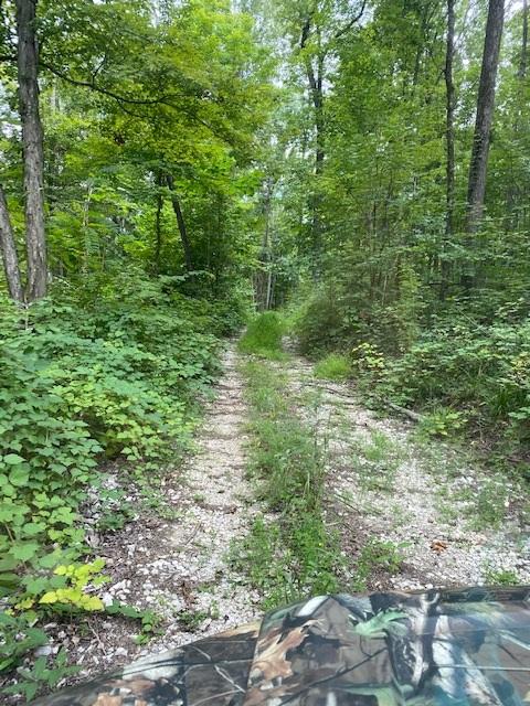 200 Beach Cove Road Doyle, TN 38559 - Photo 4 of 21 Beech2