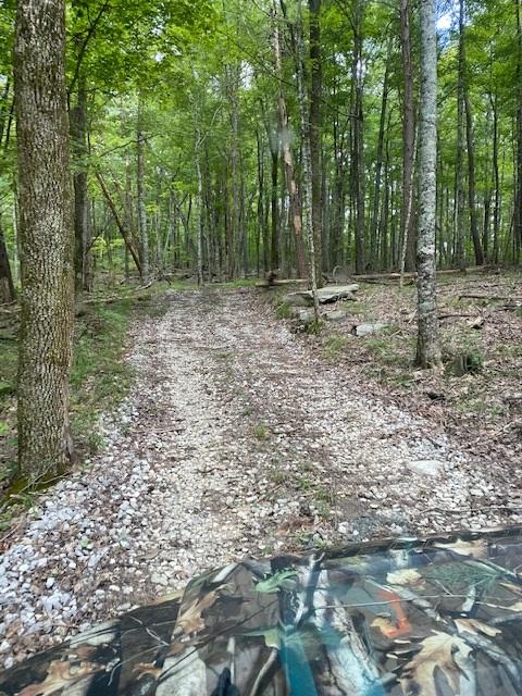 200 Beach Cove Road Doyle, TN 38559 - Photo 8 of 21 Beech3