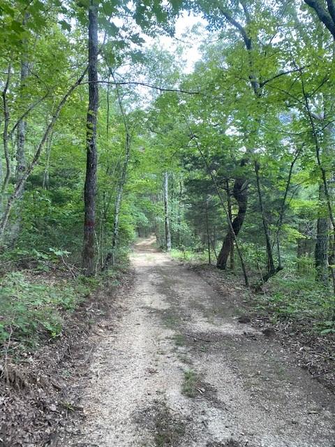 200 Beach Cove Road Doyle, TN 38559 - Photo 10 of 21 Beech6