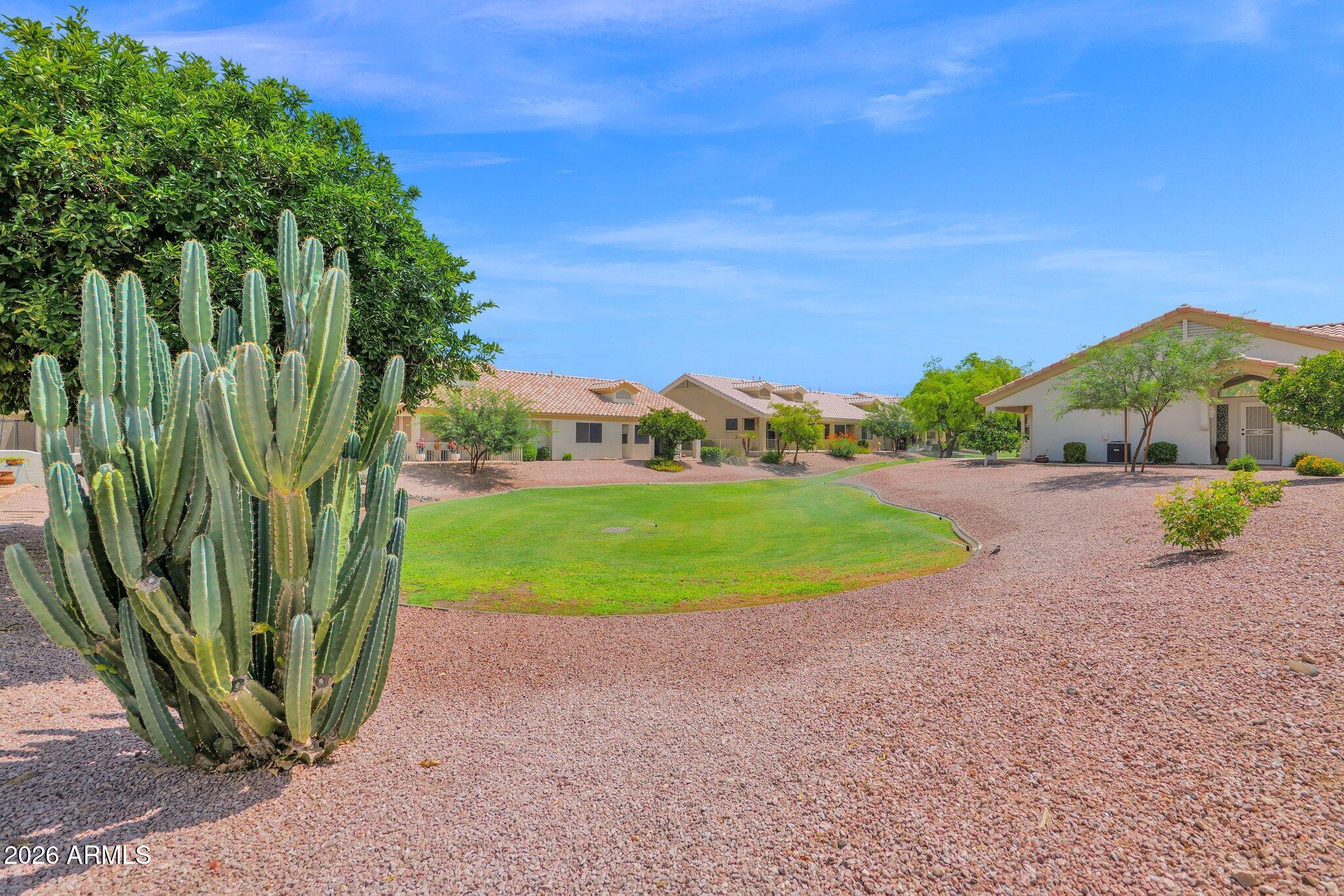 5830 East McKellips Road, Unit 110 Mesa, AZ 85215 - Photo 8 of 45 a view of a park with plants and a palm tree