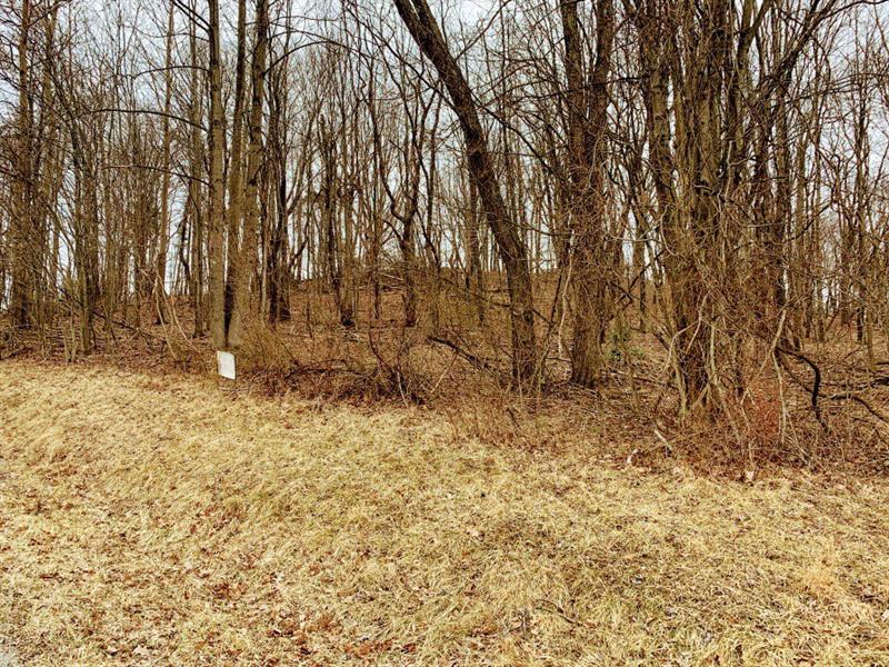 Ridge Ave, Indiana