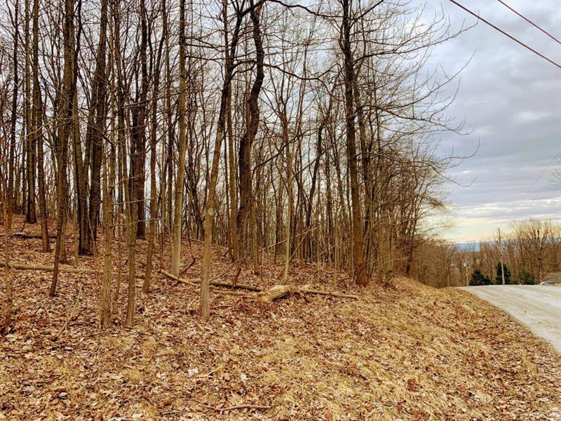 Ridge Ave, Indiana