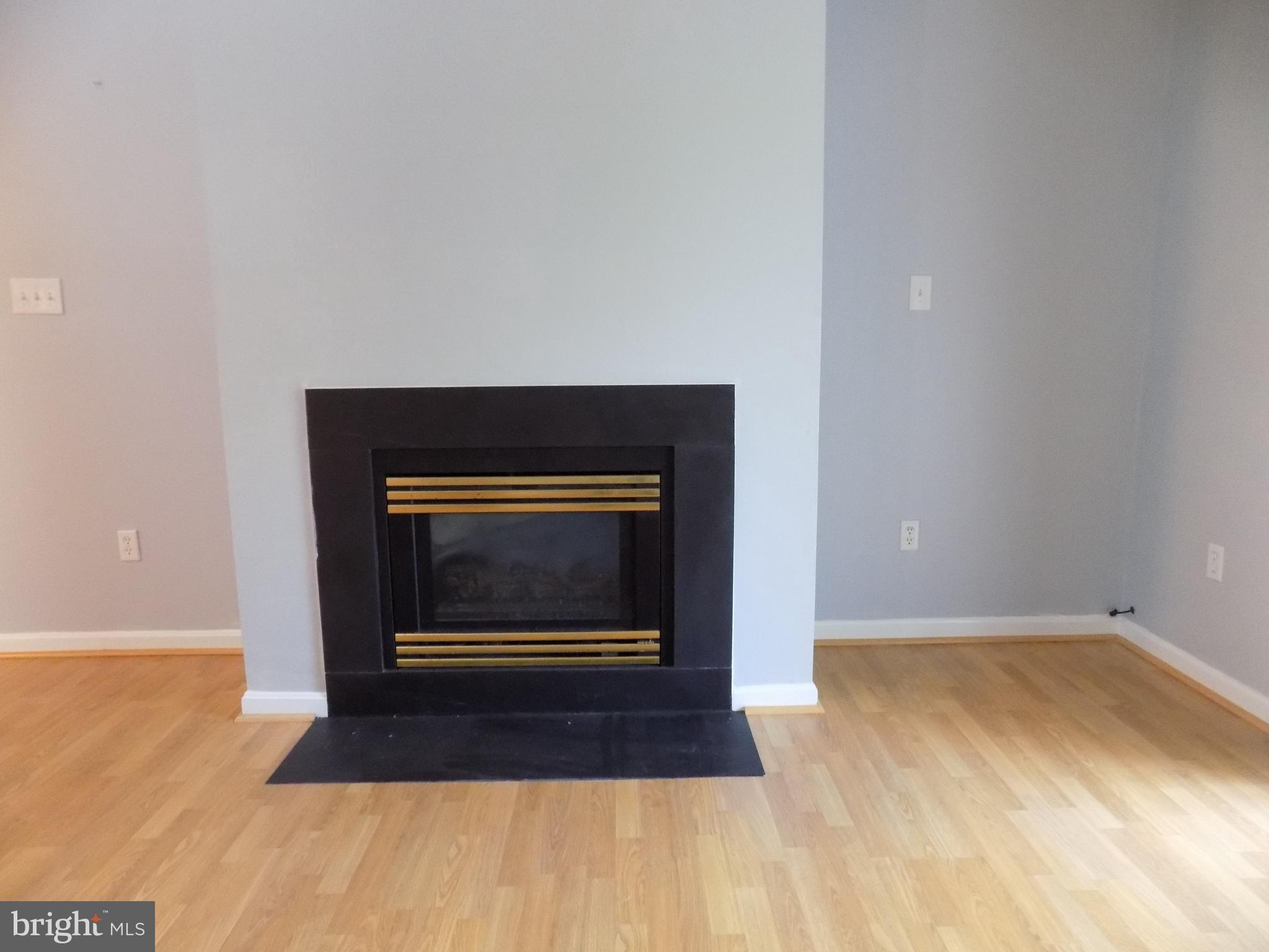 784 Kennington Road Reisterstown, MD 21136 - Photo 12 of 31 Gas Fireplace in LR