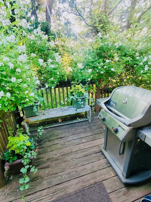 89 Moco Road West Barnstable, MA 02668 - Photo 18 of 24 0