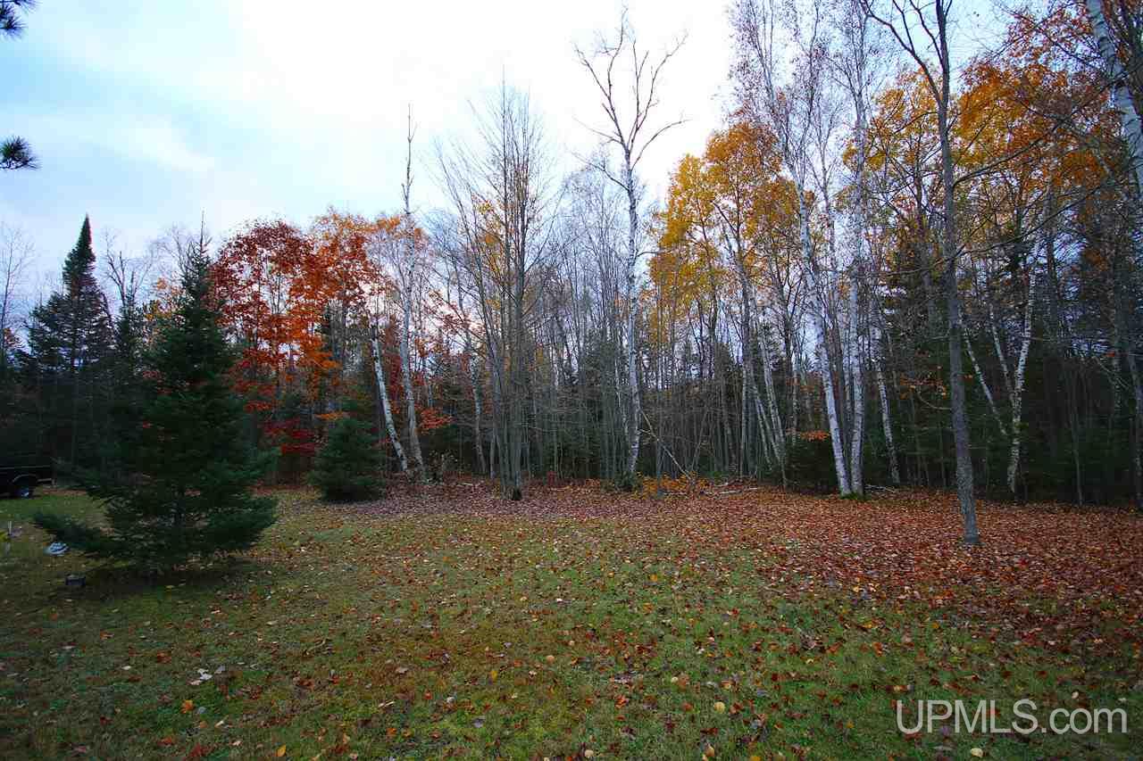 2455 Montgomery Lake Road Florence, WI 54121 - Photo 7 of 16 Gallery Image 7