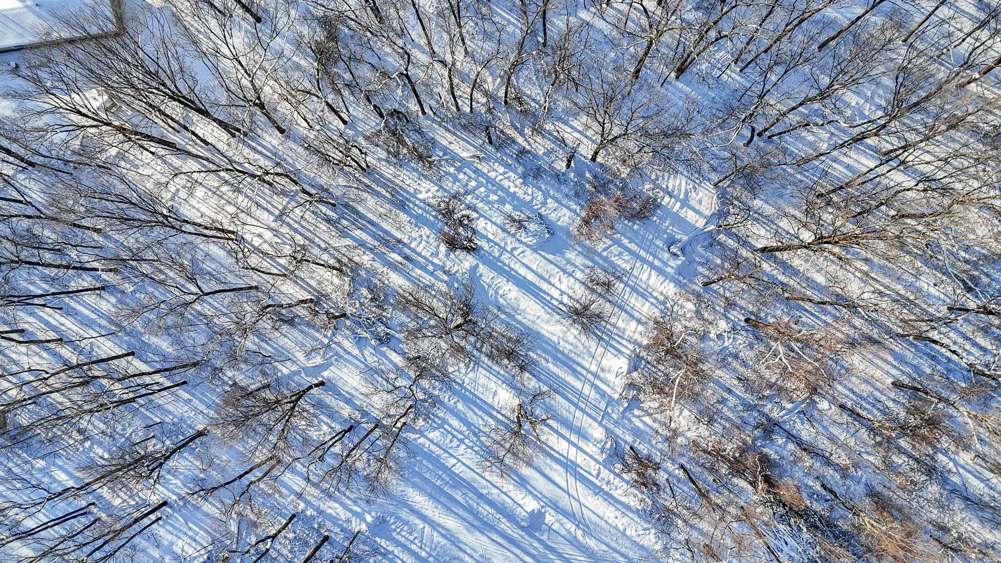 3 Forest Road Dowagiac, MI 49047 - Photo 6 of 13 dji_fly_20250115_154726_0488_17369747841