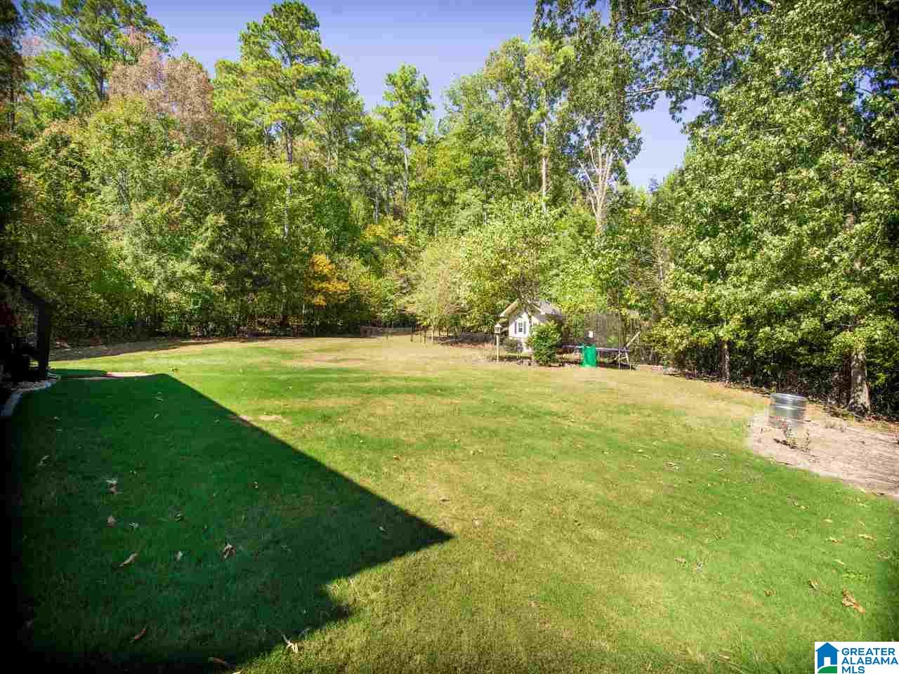 1085 MacDonald Lk Road Springville, AL 35146 - Photo 4 of 50