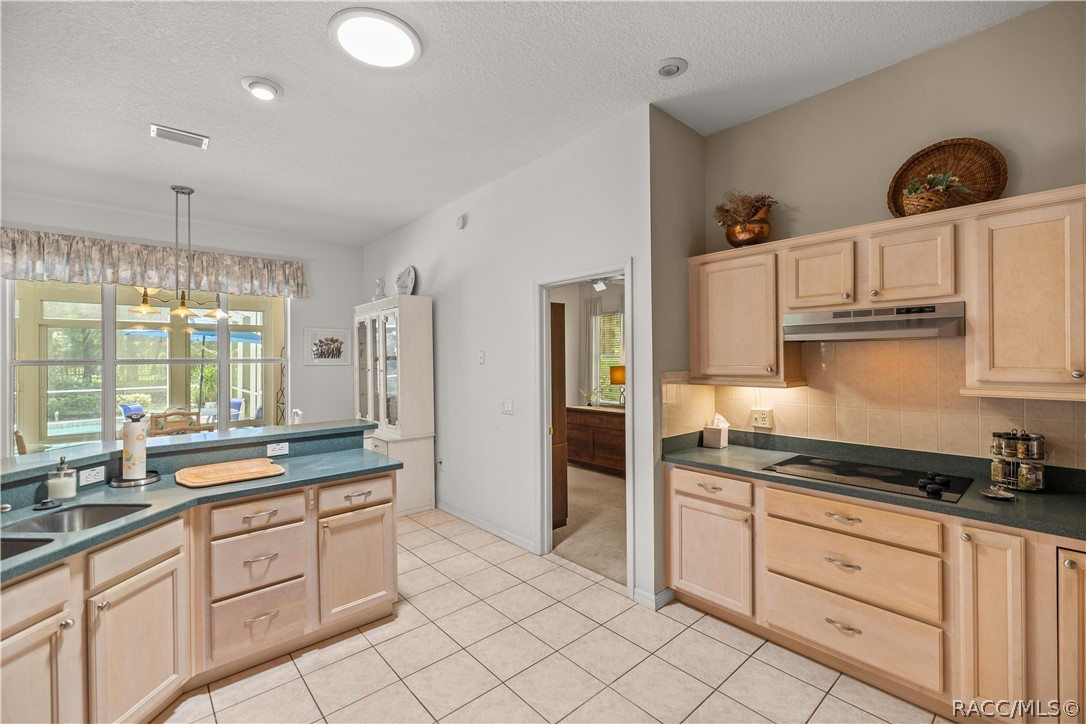 18293 Southwest 75th Loop Dunnellon, FL 34432 - Photo 13 of 33 Gallery Image 13
