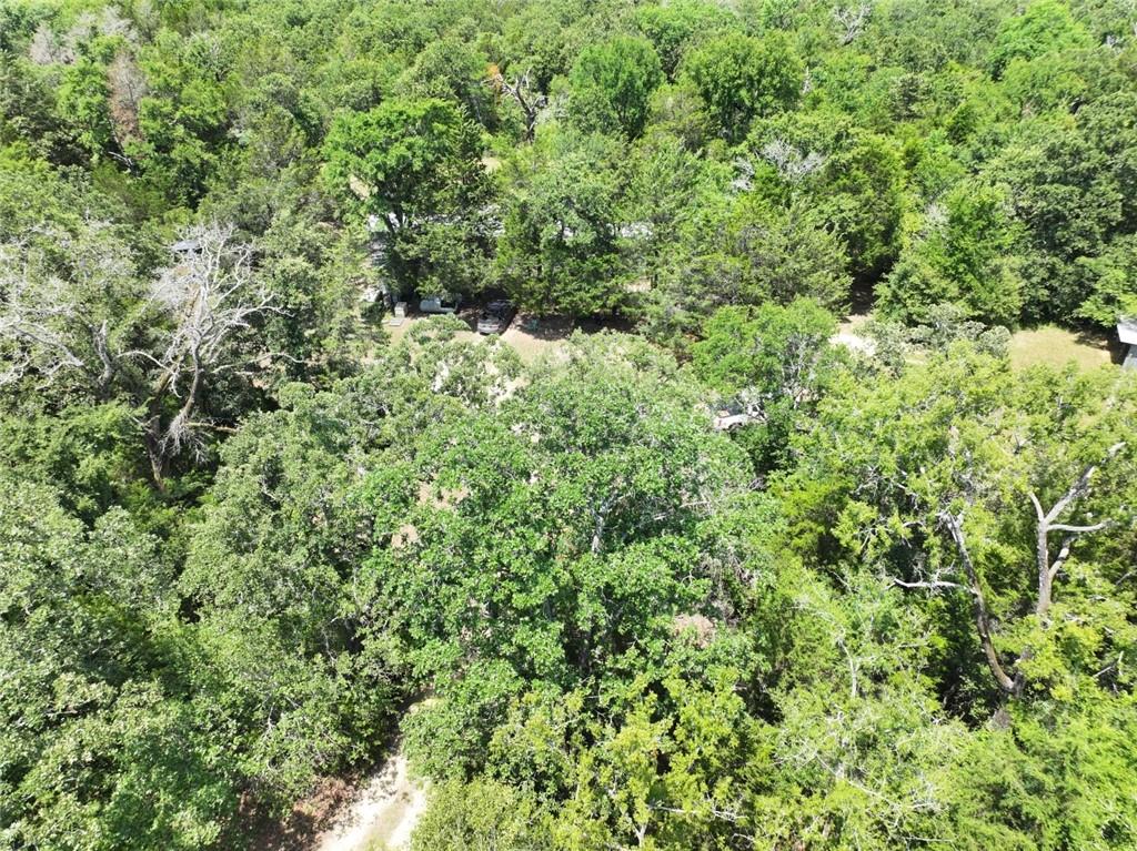 300 Cr 431 Road Fairfield, TX 75840 - Photo 14 of 15 a view of a big yard with plants and large trees