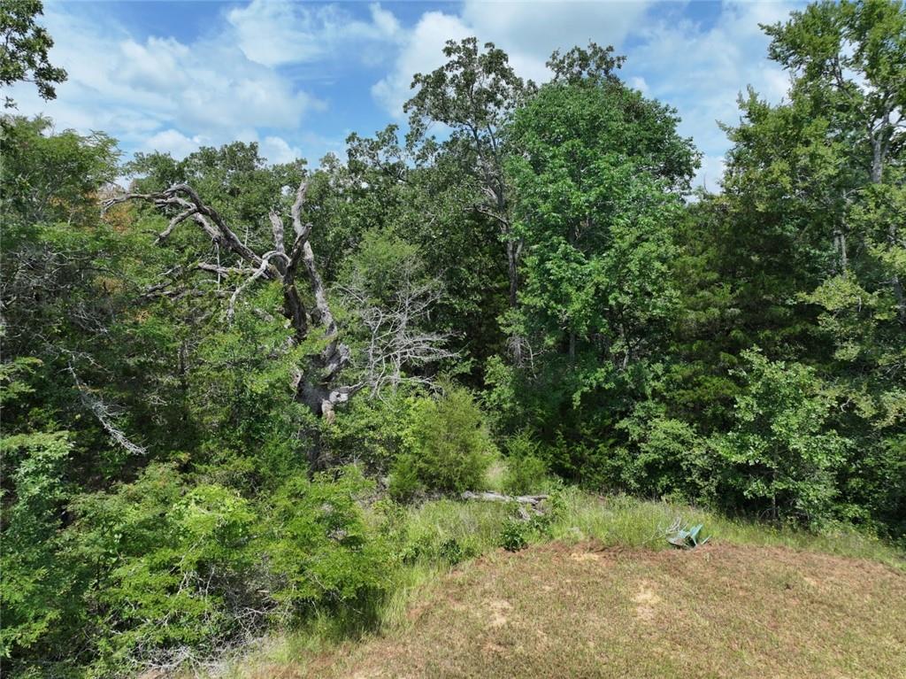 300 Cr 431 Road Fairfield, TX 75840 - Photo 5 of 15 an aerial view of a forest with houses