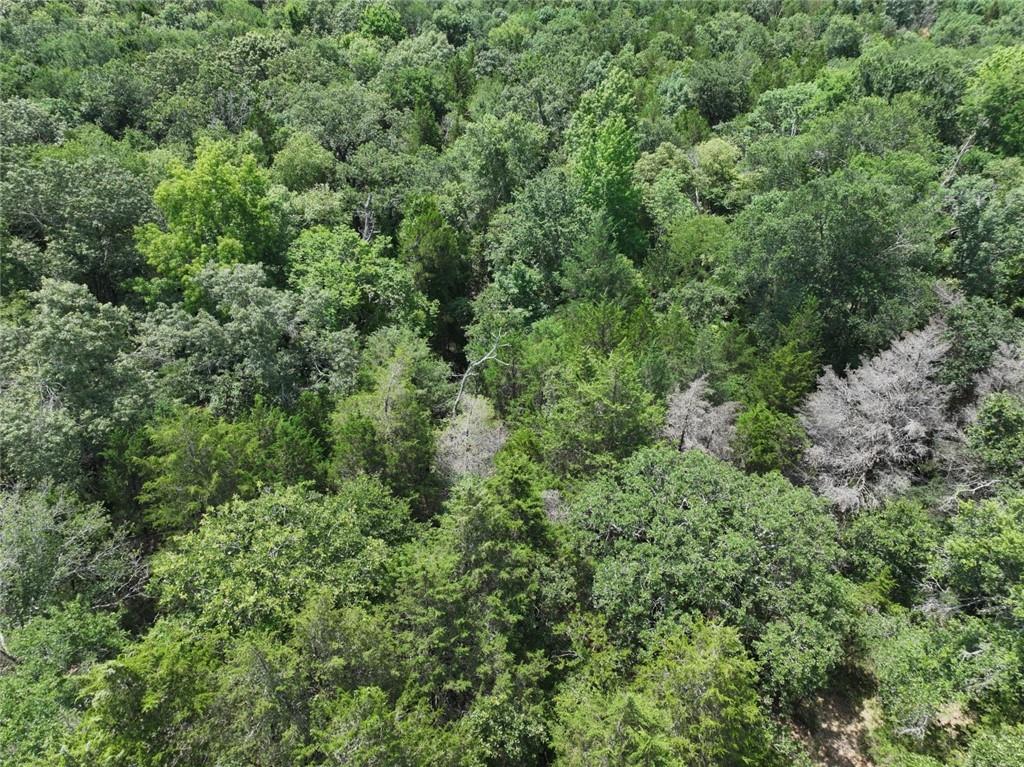 300 Cr 431 Road Fairfield, TX 75840 - Photo 6 of 15 an aerial view of residential house with outdoor space and trees all around