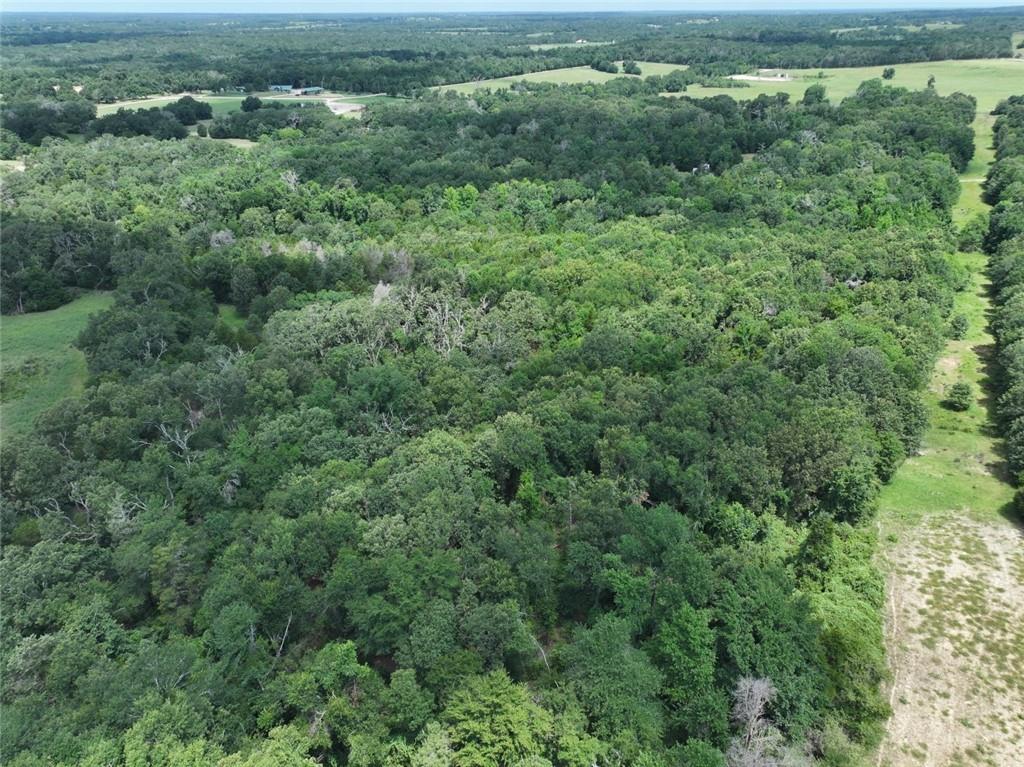 300 Cr 431 Road Fairfield, TX 75840 - Photo 8 of 15 an aerial view of residential houses with outdoor space and trees