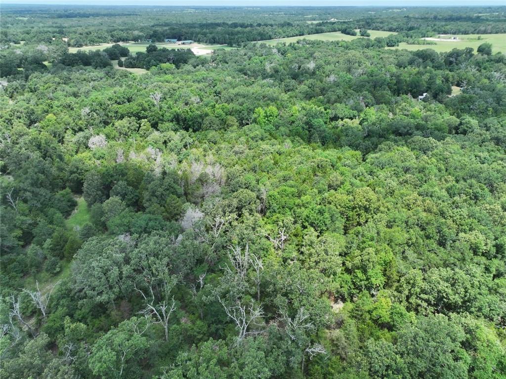 300 Cr 431 Road Fairfield, TX 75840 - Photo 10 of 15 an aerial view of residential houses with outdoor space and trees